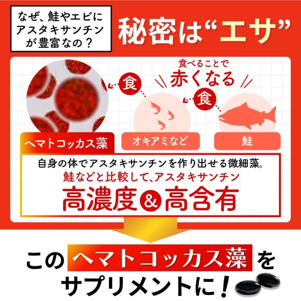 yonekichi_astax0001_3_d_20260527091144