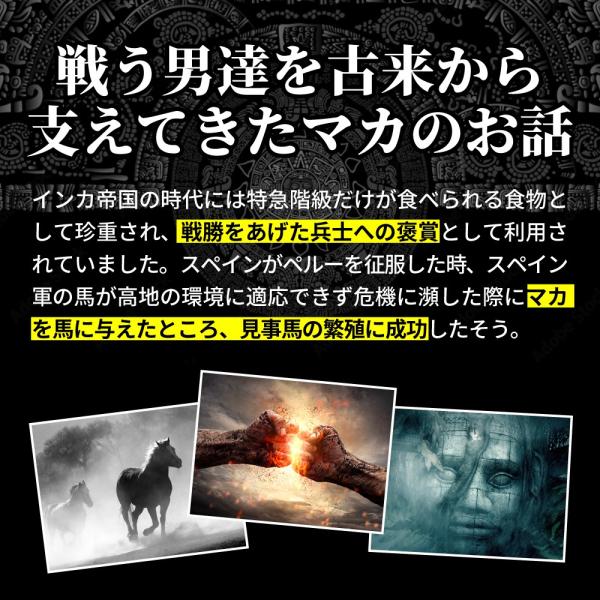 yonekichi_makaemp0001_4_d_20231023103425