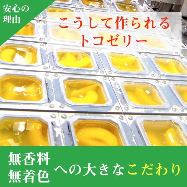 yonekichi_toko0004_2_d_20240410141505