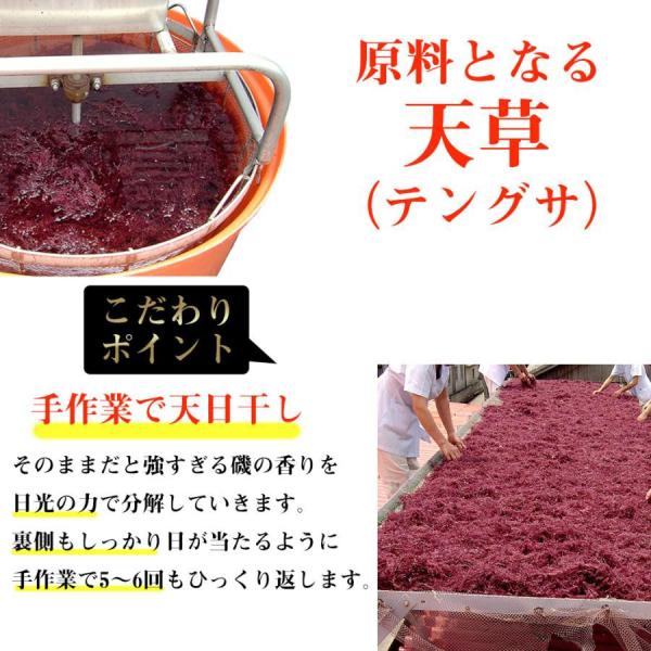 yonekichi_toko0004_3_d_20240410141505