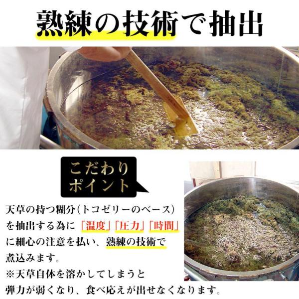 yonekichi_toko0004_4_d_20240410141506