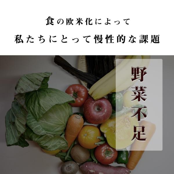 yonekichi_yomogi2001_5