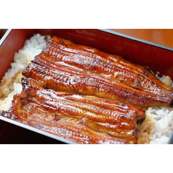 極太うなぎ蒲焼き15 16尾入 5kg 業務用 中国産 鰻 ウナギ ロストラータ種 Buyee Buyee Japanese Proxy Service Buy From Japan Bot Online