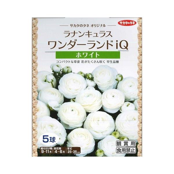 yHAziLX i_[hIQjzCg@yTJ^̃^lzi5lj