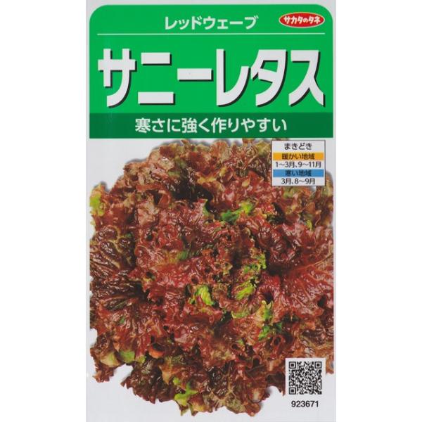 ★寒さに強く、尻腐れの少ないサニーレタス