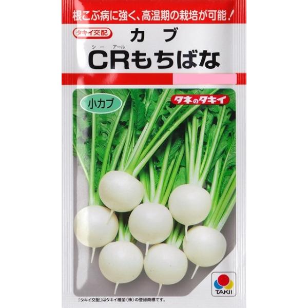 ★根こぶ病に強く、高温期の栽培が可能！