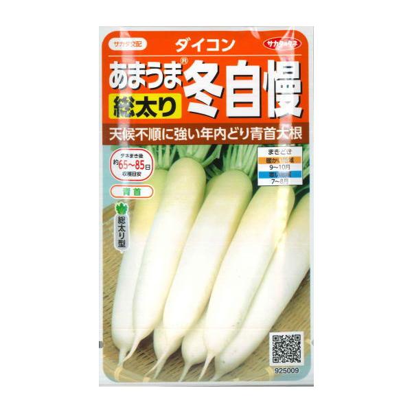 【冬どりあまうま大根】冬自慢【サカタ交配】（10ml）野菜種/ダイコン[秋まき]925009