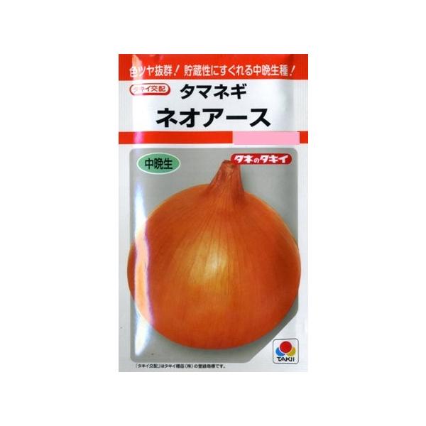 【タマネギ】ネオアース【タキイ交配】（2.2ml）野菜種[秋まき]RF