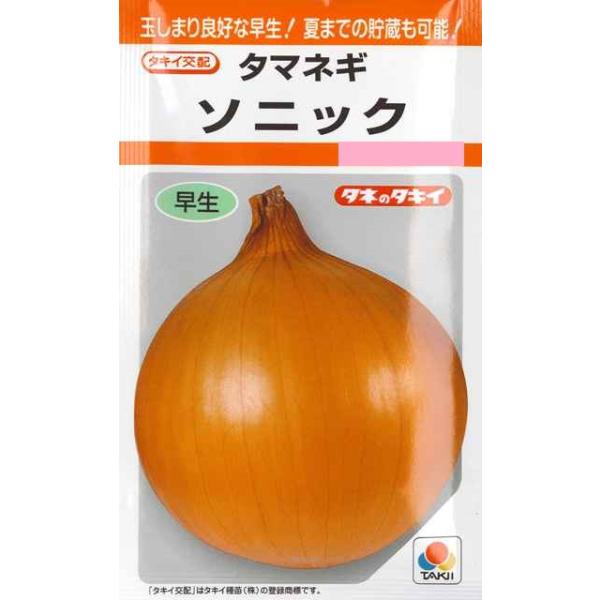 【タマネギ】ソニック【タキイ交配】（2.2ml）[秋まき]野菜種RF