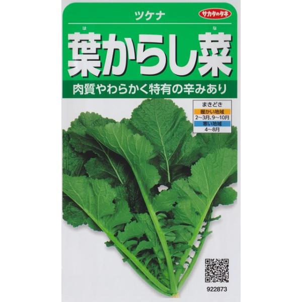 ★肉質やわらかく独特の辛みあり!寒さにも強い