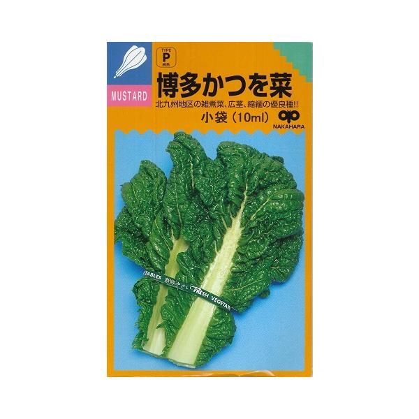 カツオナ】博多かつを菜 【中原採種場】（10ml）野菜種[秋まき]かつお