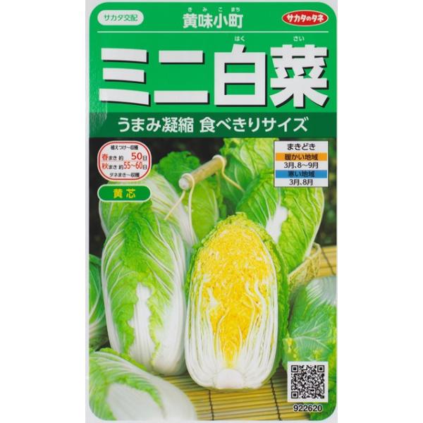 黄味小町 ミニ白菜 サカタ交配 1 5ml 野菜種 春まき 秋まき 9226 Buyee Buyee Japanese Proxy Service Buy From Japan Bot Online
