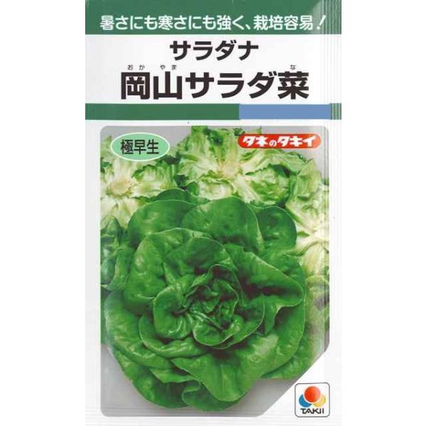 ★【極早生】暑さにも寒さにも強く、栽培容易！