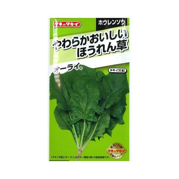 y炩ق񑐁zI[Cy^LCzzi9ml/330jzE\E/؎[t܂][H܂]