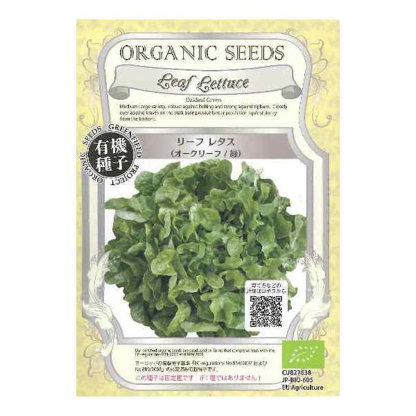 柔らかい葉が特徴のオークリーフレタス。葉は綺麗な淡緑色