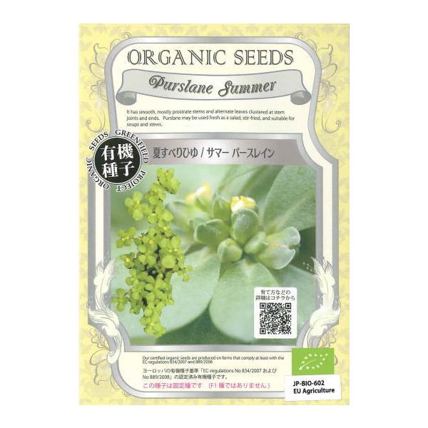 地面を這うように育つ多肉植物の野菜！