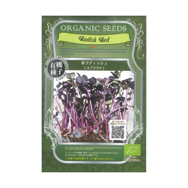 スパイシーな味で多くのビタミンを含むスプラウトです