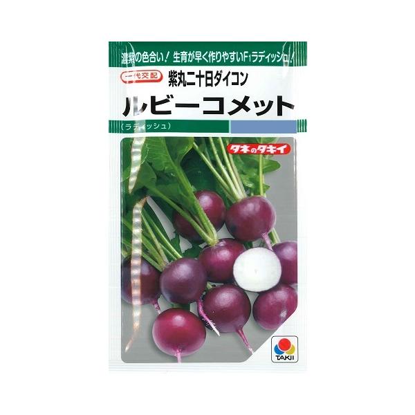 作りやすいF1紫丸ラディッシュ！家庭菜園向き