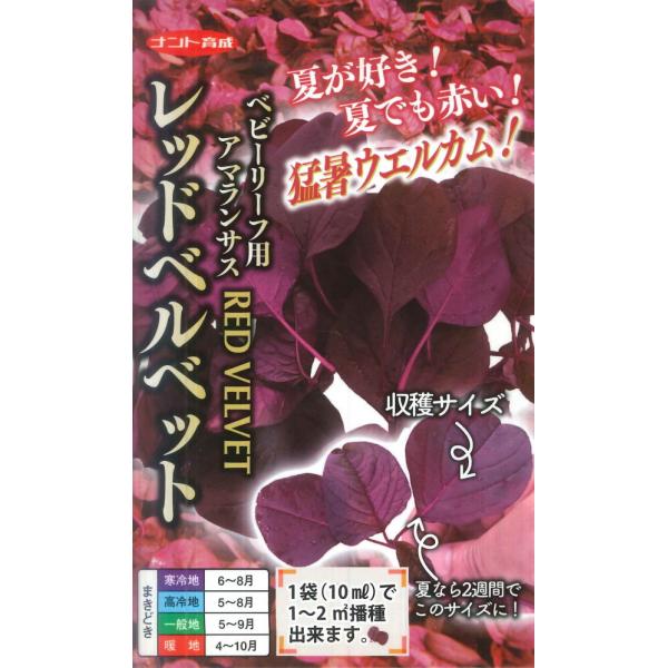★夏でも赤い！猛暑ウェルカム！