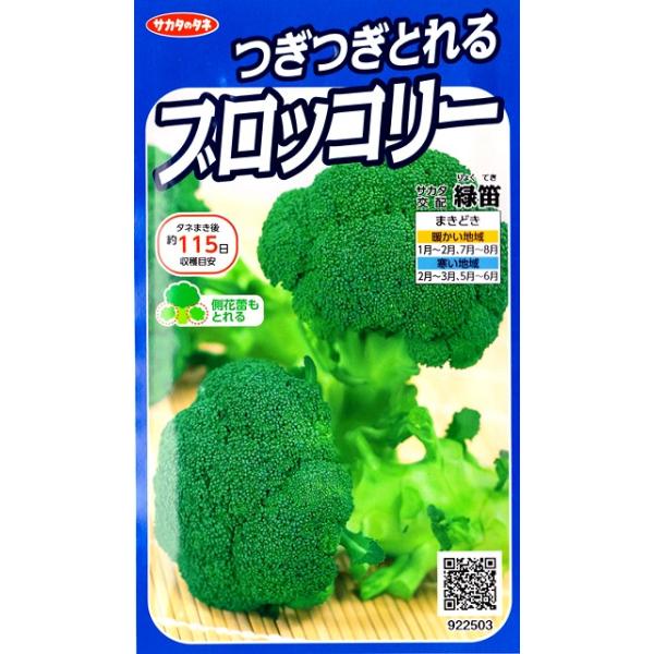 ★頂花蕾の収穫後、側枝花蕾も次々に収穫できる