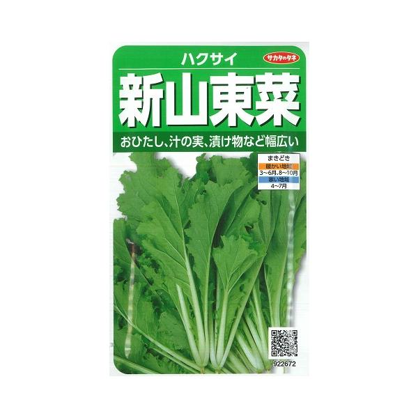 ハクサイ 春まき新山東菜 サカタのタネ 10ml 白菜 サントウサイ 野菜種 春まき 秋まき sinsantousai Hana Uta 米沢園芸 Yahoo 店 通販 Yahoo ショッピング
