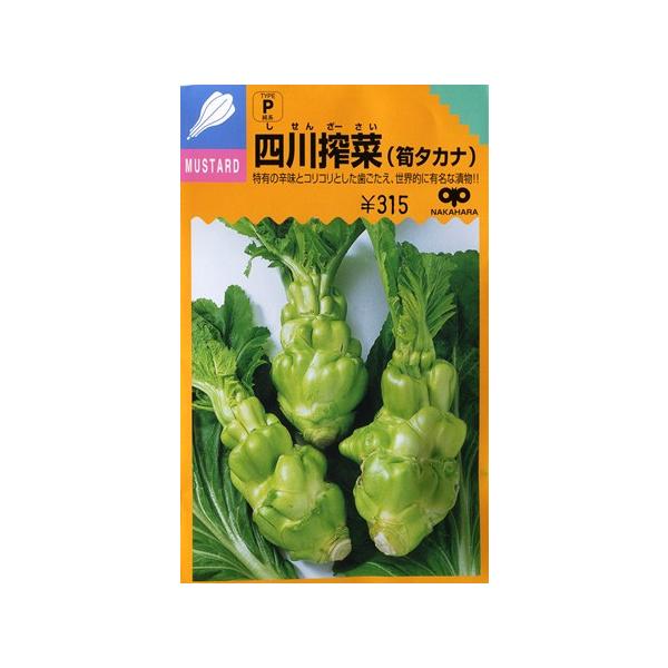 ザーサイの種 四川搾菜 筍タカナ 中原採種場 ペレット種子 0粒 野菜種 秋まき sisenzasai Hana Uta 米沢園芸 Yahoo 店 通販 Yahoo ショッピング