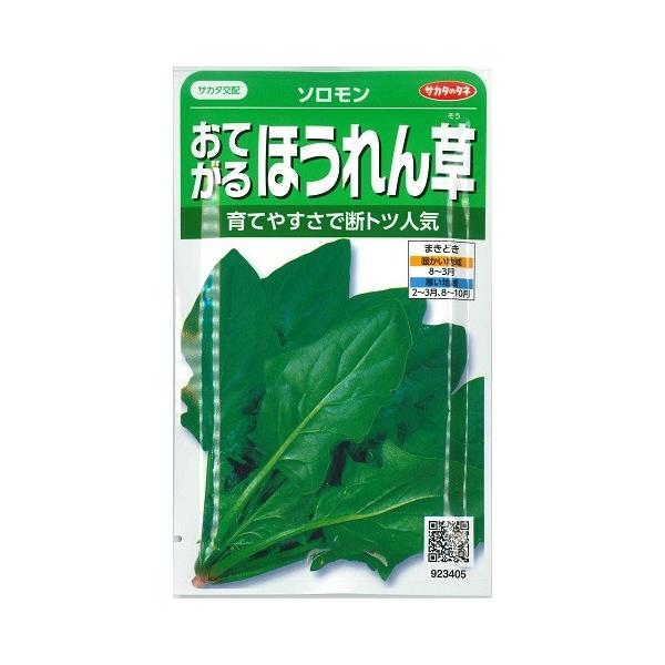 yĂق񑐁z\ yTJ^̃^lzi25mljzE\E/؎[H܂]923405