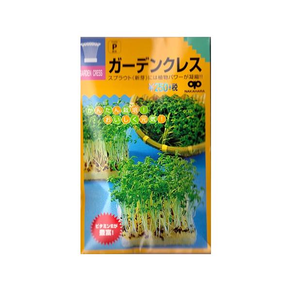 【スプラウト】ガーデンクレス（胡椒草）【中原採種場】（35ml）野菜種