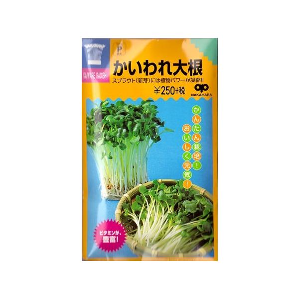 yXvEgz卪y̎zi30mlj؎