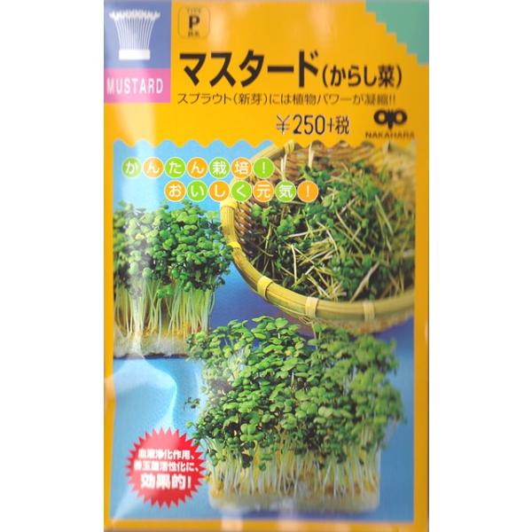【スプラウト】マスタード（からし菜）【中原採種場】（40ml）野菜種