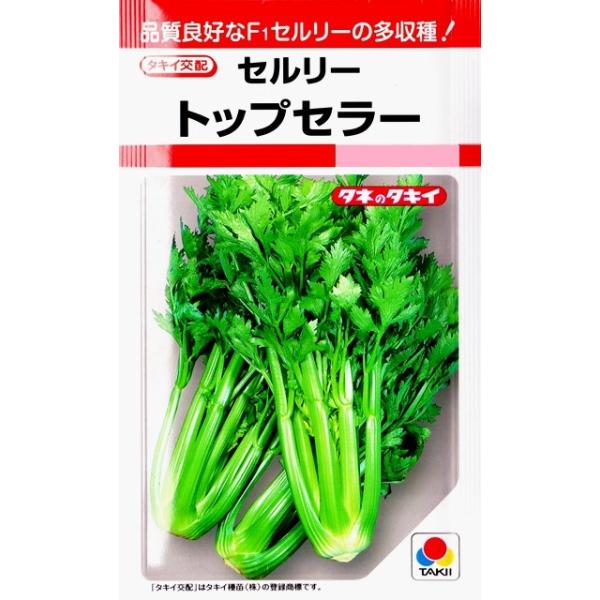 ★栽培しやすい淡緑のF1セルリーの多収種
