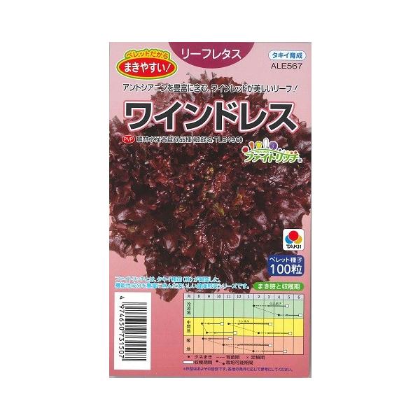 y[t^XzChX y^LCczyybgqi100jz؎[H܂]