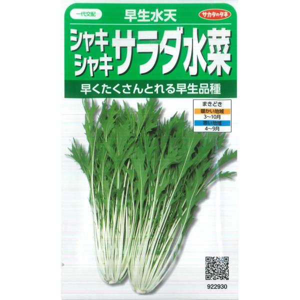 【シャキシャキサラダ水菜】早生水天【サカタのタネ】（6ml/約1200粒）野菜種/水菜[春まき][秋まき]