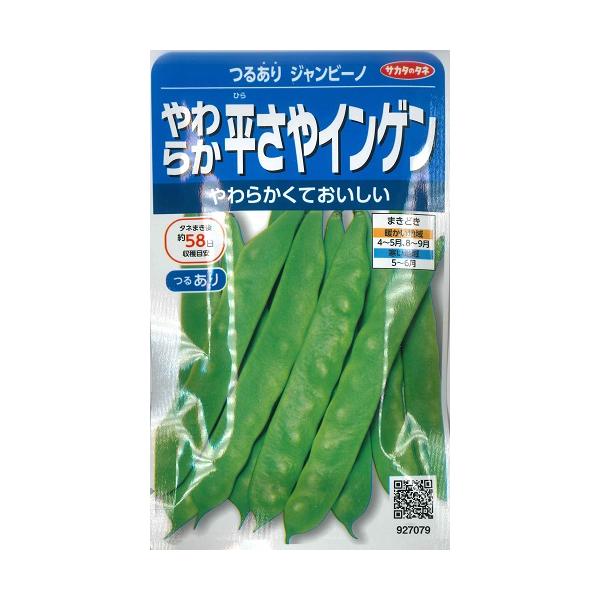 ★平莢のつるあり、スジなし種です。