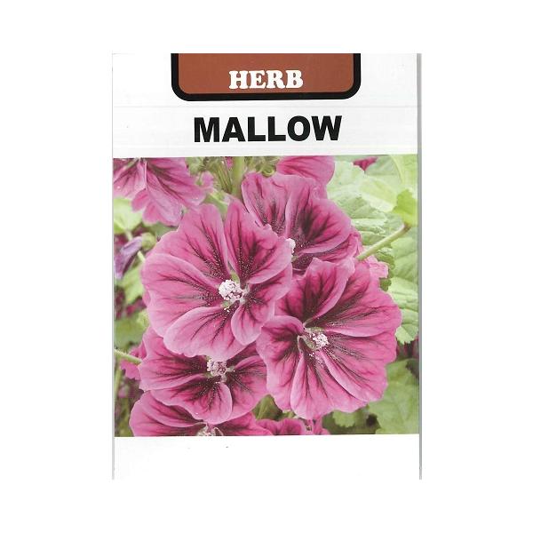 ★お湯を注ぐと透きとおった青いお茶になる