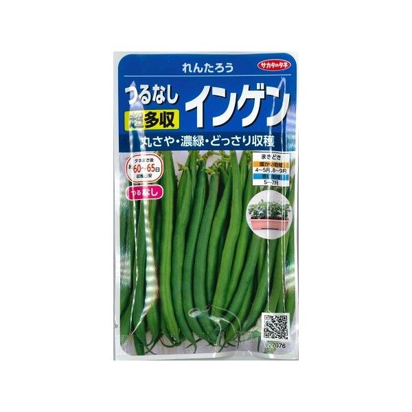 yȂCQz񂽂낤yTJ^̃^lzi20mlj؎[t܂]927076