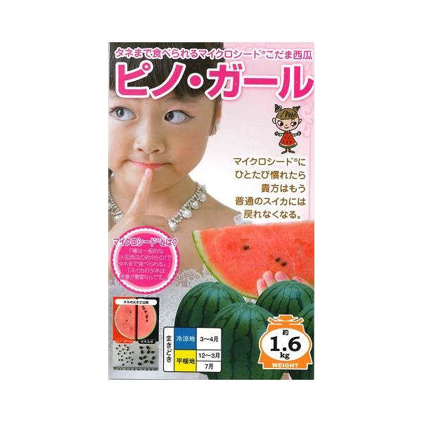 ★タネまで食べられるマイクロシードこだま西瓜