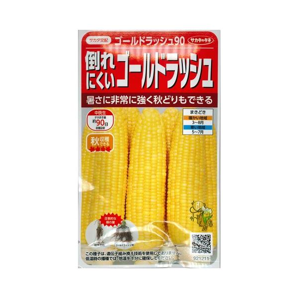 ★根量が多く倒れくい！暑さに強く秋どりもできる