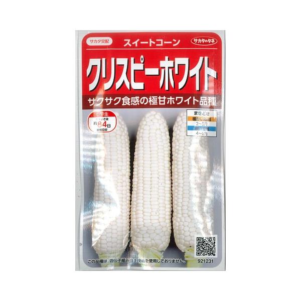 ♡野田園芸♡多弁ホワイトピコティカップ　超充実株 サカタのタネ（サカタノタネ） 【スイートコーン】クリスピーホワイト