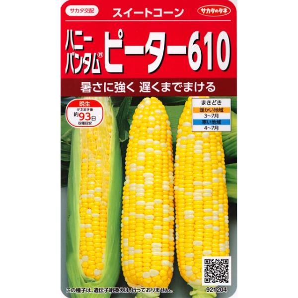 ★暑さに強く遅くまでまけるハニーバンタム