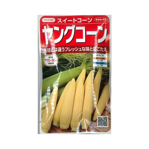 ★缶詰とは違うフレッシュな味と歯ごたえ