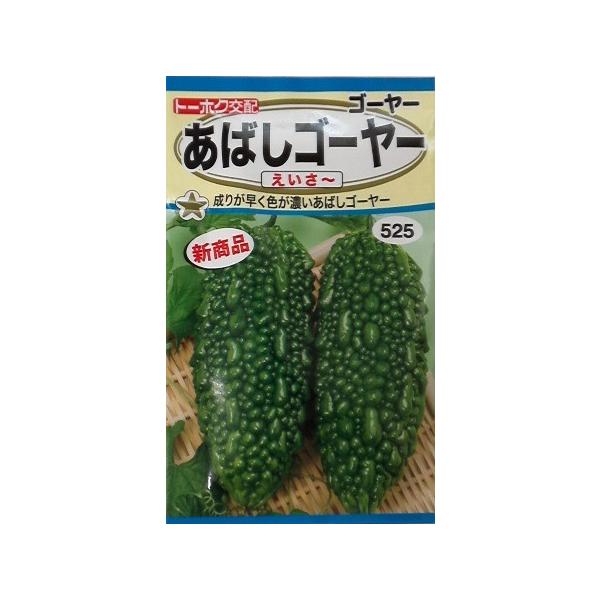 成りが早く色が濃いあばしゴーヤ