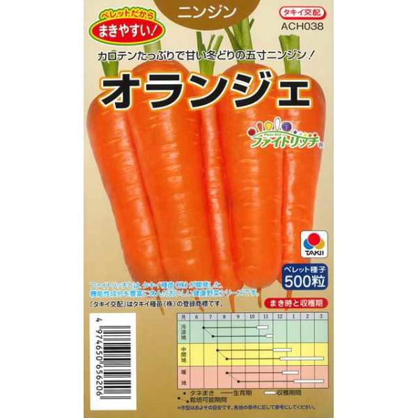 【ニンジン】オランジェ（ペレット種子/500粒）【タキイ交配】[秋まき]