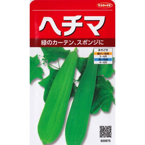 ★日よけやヘチマ水、スポンジなど楽しさいっぱい