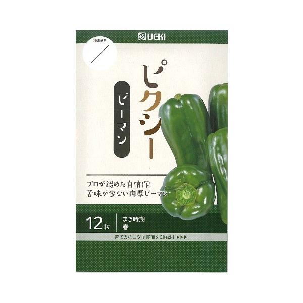 ys[}zsNV[ylA؁zi12j؎/[t܂]