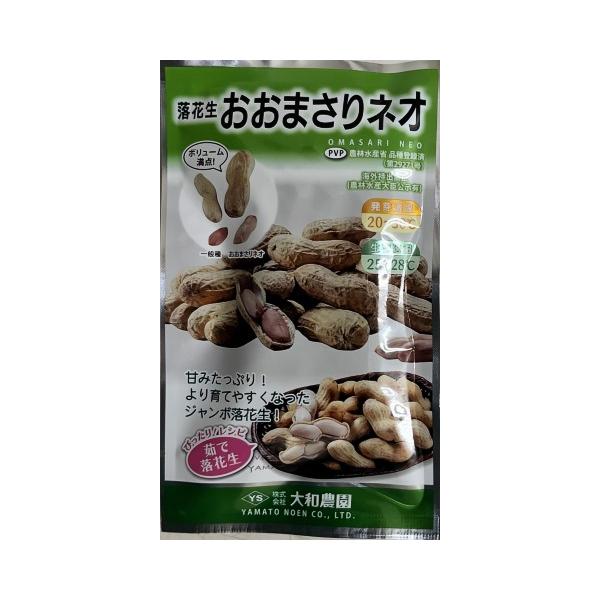 おおまさりネオ】落花生 18粒【大和農園】野菜種 ラッカセイ[春まき