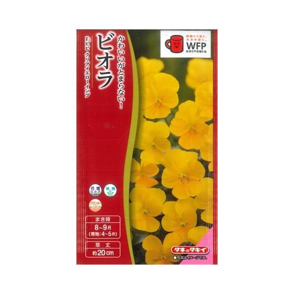 サカタのタネ（サカタノタネ） 【ビオラ】ビビ クリアイエローインプ