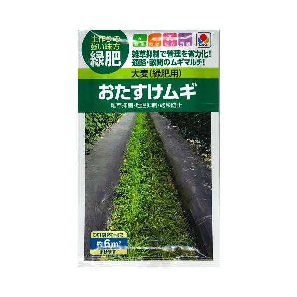 ★早枯れタイプのムギマルチで雑草抑制！