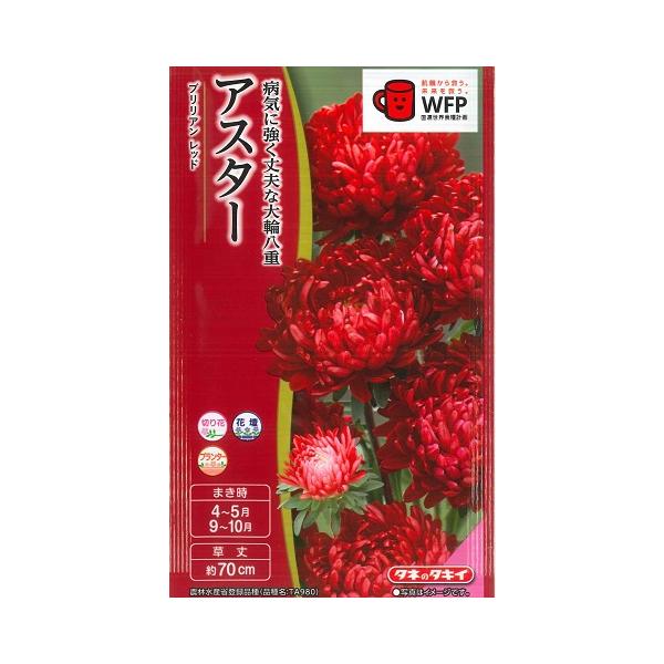 ★鮮やかな大輪のレッド！