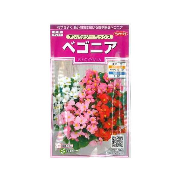 yxSjAzAoT_[~bNXyTJ^̃^lzi30jyt܂1Nz[t܂][H܂](905664)